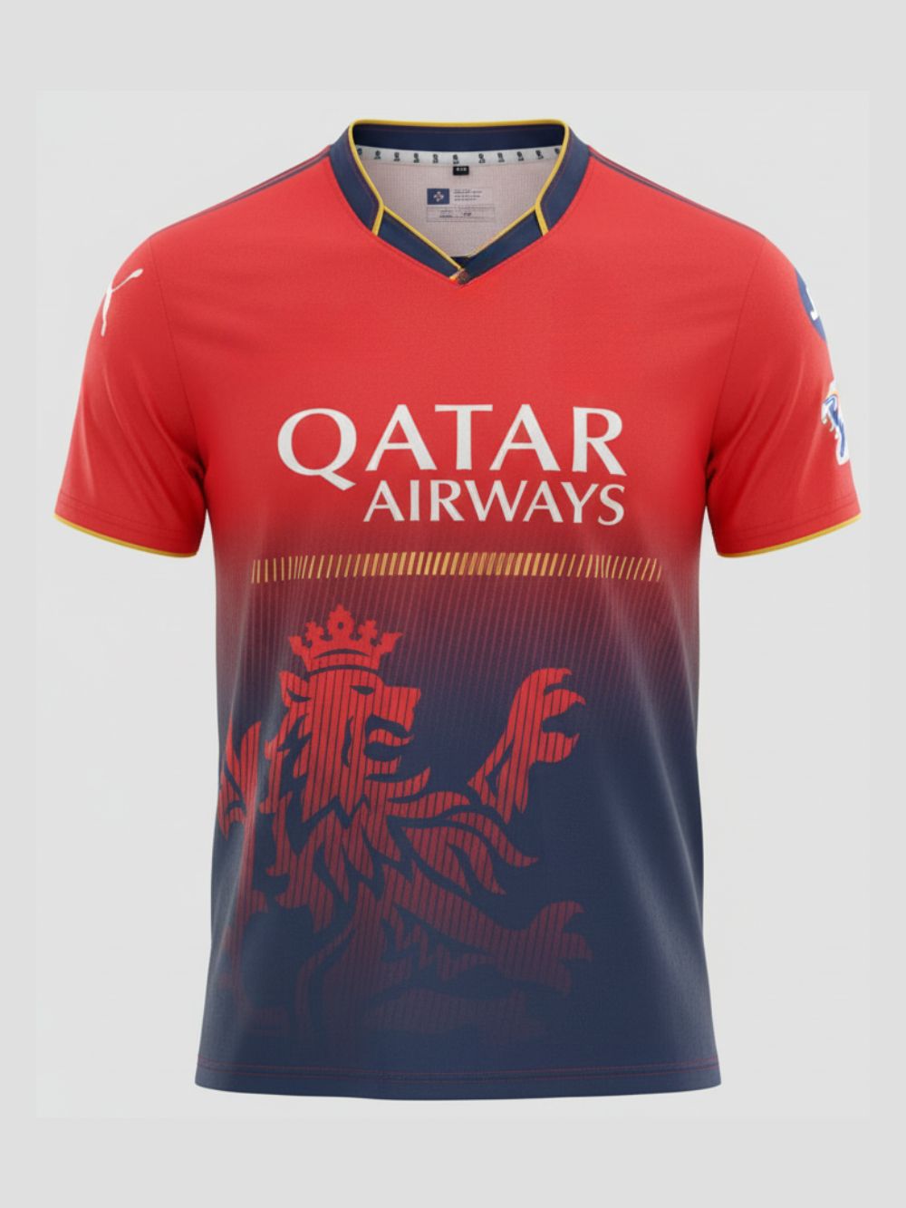 Bengaluru Practice Jersey 2025 WITH NAME AND NUMBER TEEHUB