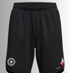 team india training shorts