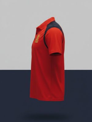 RCB Auction Polo 2026 teehub