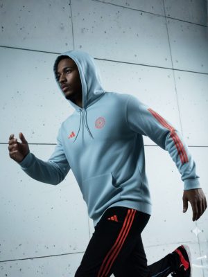 Indian Team Grey Hoodie - Image 3